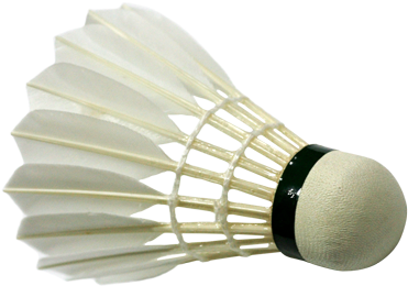 Badminton Volant Png Image - Volante Badminton Png (500x337), Png Download