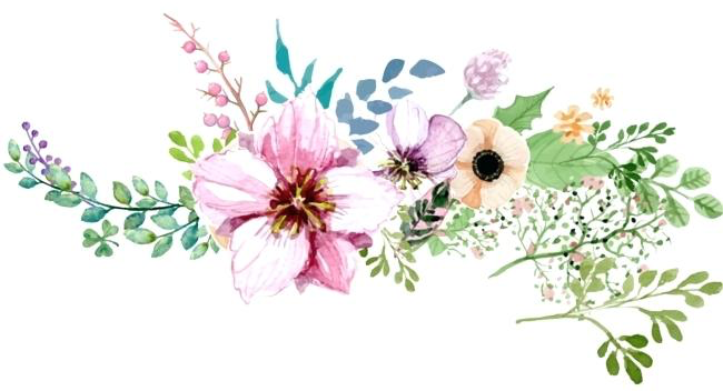 Harli Bott - Watercolour Flower Border Png (650x352), Png Download