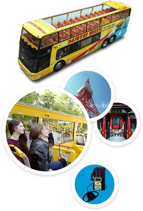 O Sole Mio Bus (480x709), Png Download