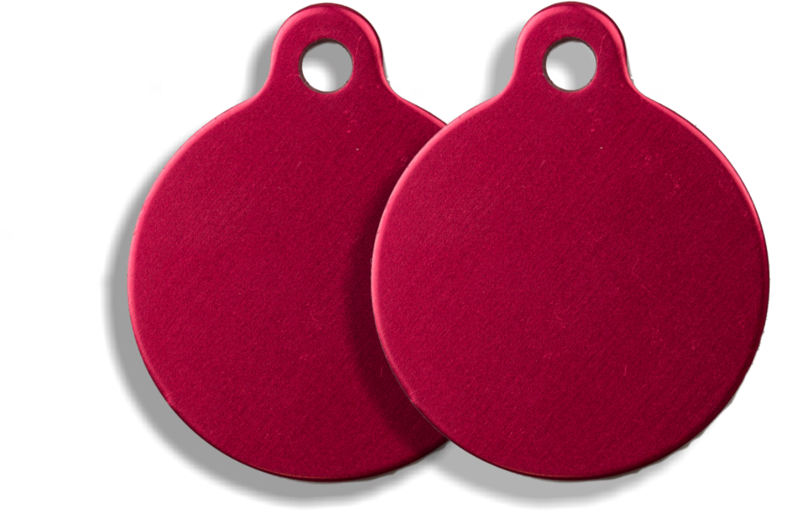 Blank Canvas - Earrings (1501x1051), Png Download