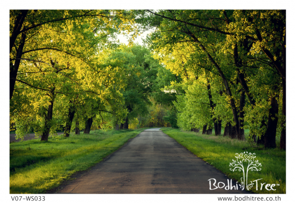 Wall (600x800), Png Download