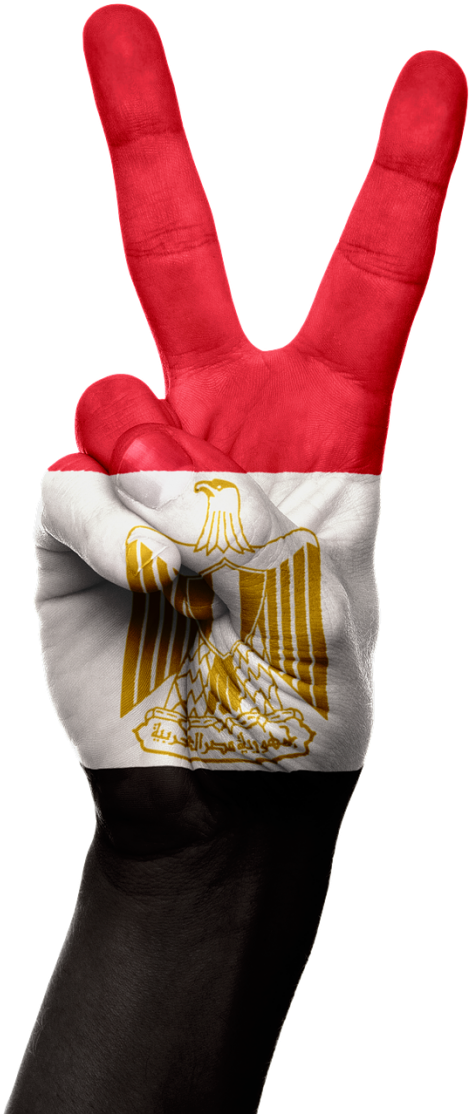 Egypt Flag Hand Png (500x1116), Png Download