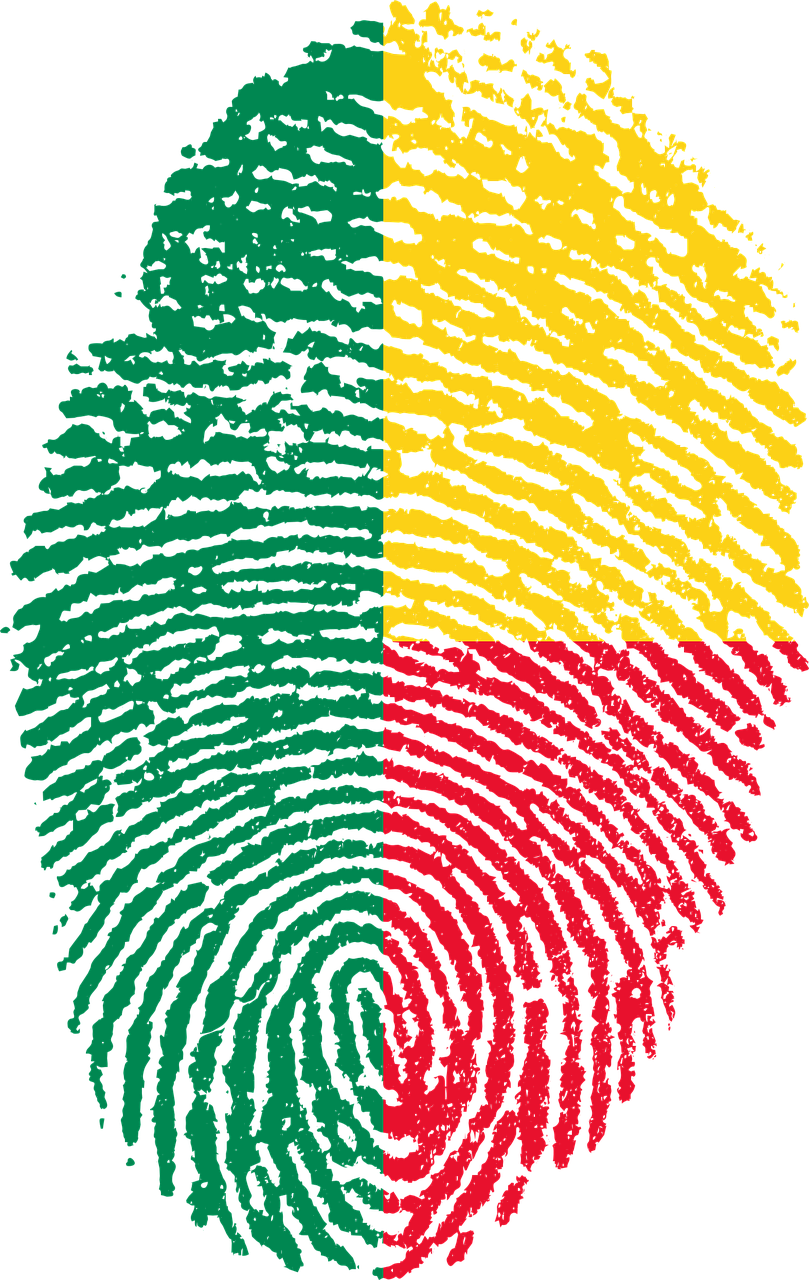 Bandeira Do Brasil Png Transparente (809x1280), Png Download