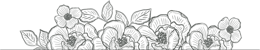 Flower Border Bottom - Flower Bottom Border Black And White (1000x210), Png Download