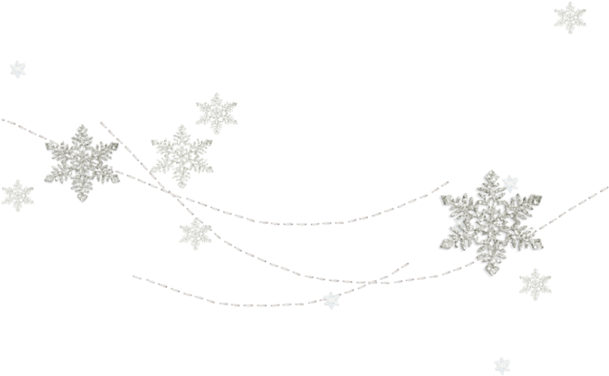 Bloom Pink Frame Flower Border Flowers White Bouquet - Flower (1024x1024), Png Download