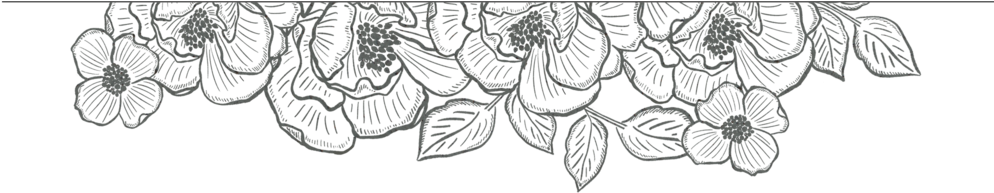 Flower Border - Line Art (1000x210), Png Download