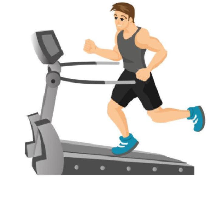 Royalty Free Gym Fitness Full Workout Page Exercises - Whiteboard Animation (1754x1240), Png Download