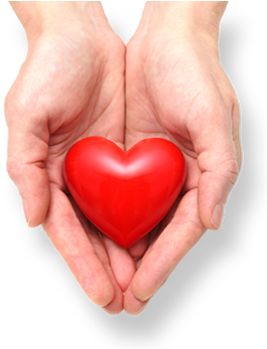 Picture - Heart In Hands Transparent (372x372), Png Download