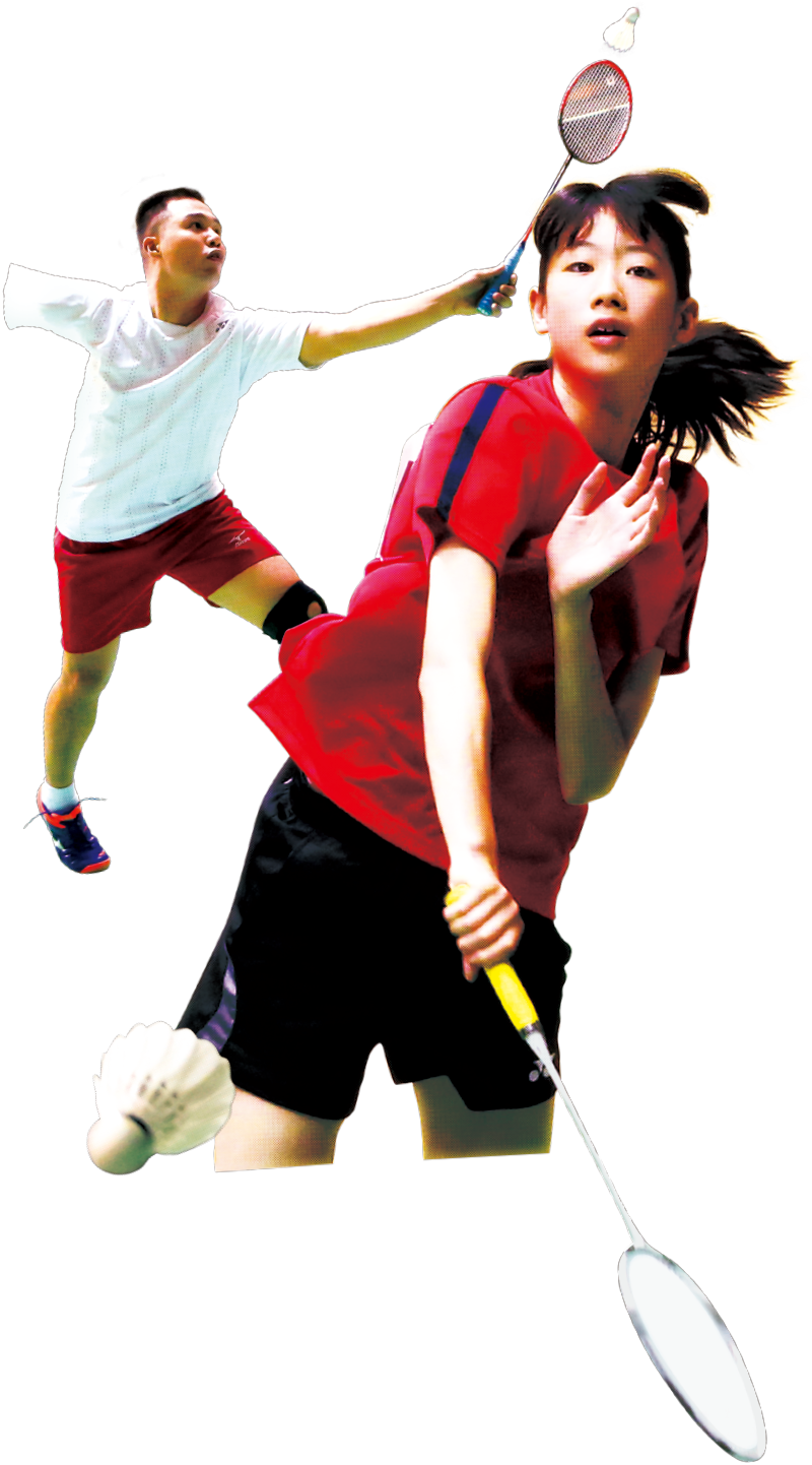 Badminton - Game (800x1442), Png Download