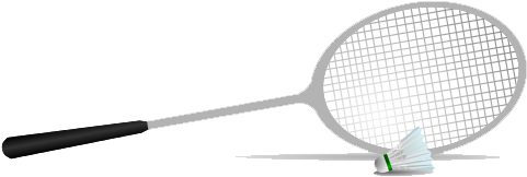 Badminton Png - Badminton (500x250), Png Download
