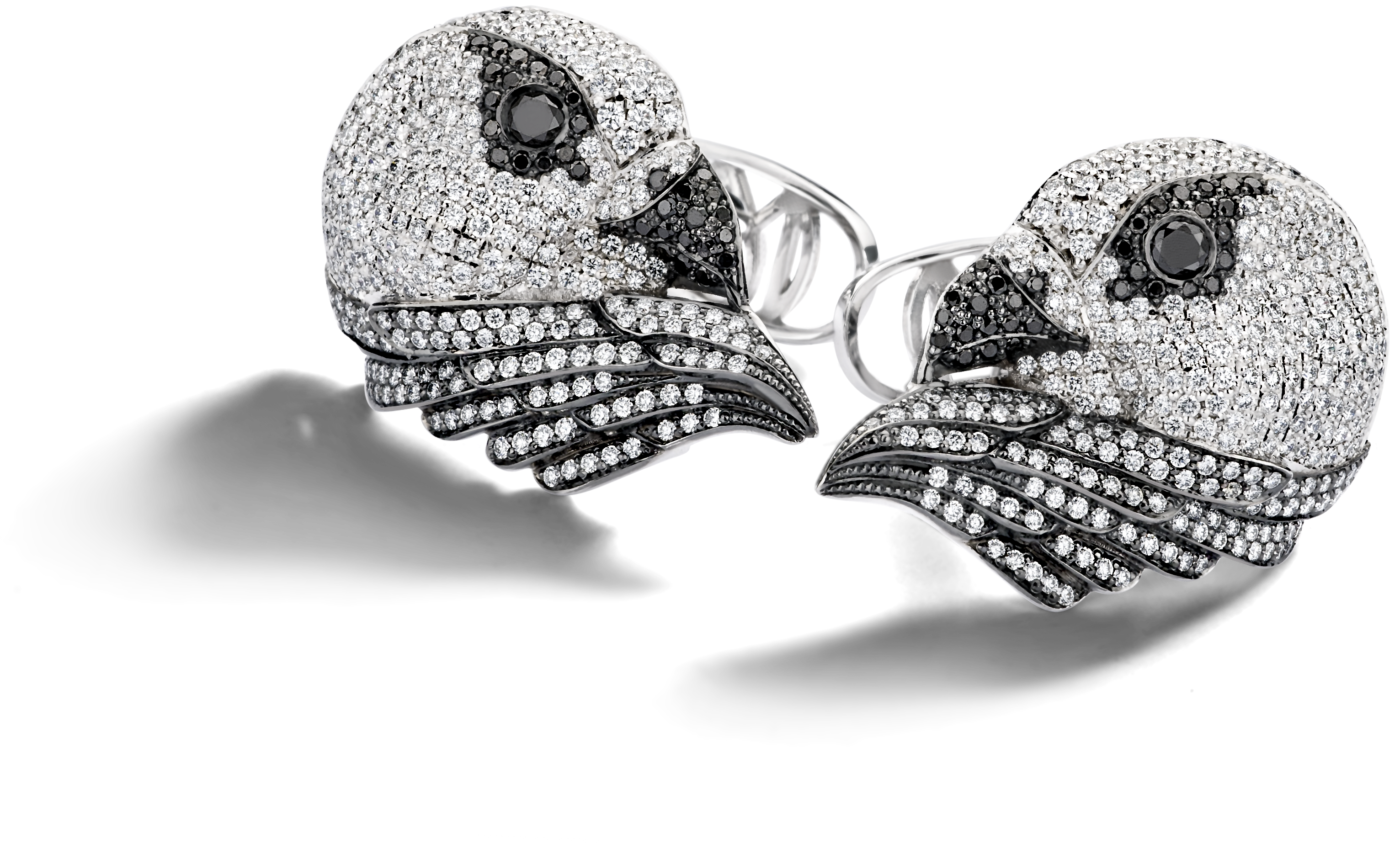 Eagle Eye (3543x3543), Png Download