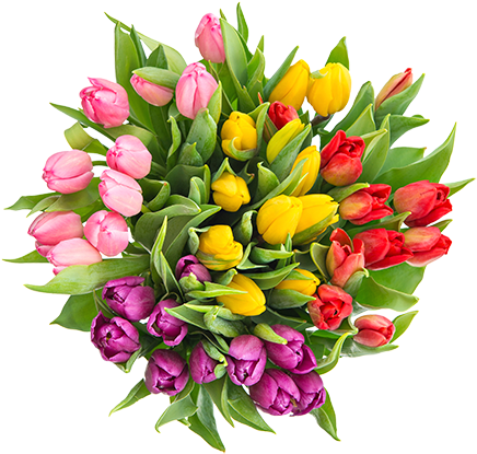 Flower Bouquet (500x472), Png Download