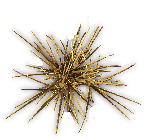 Echinoderm (501x458), Png Download