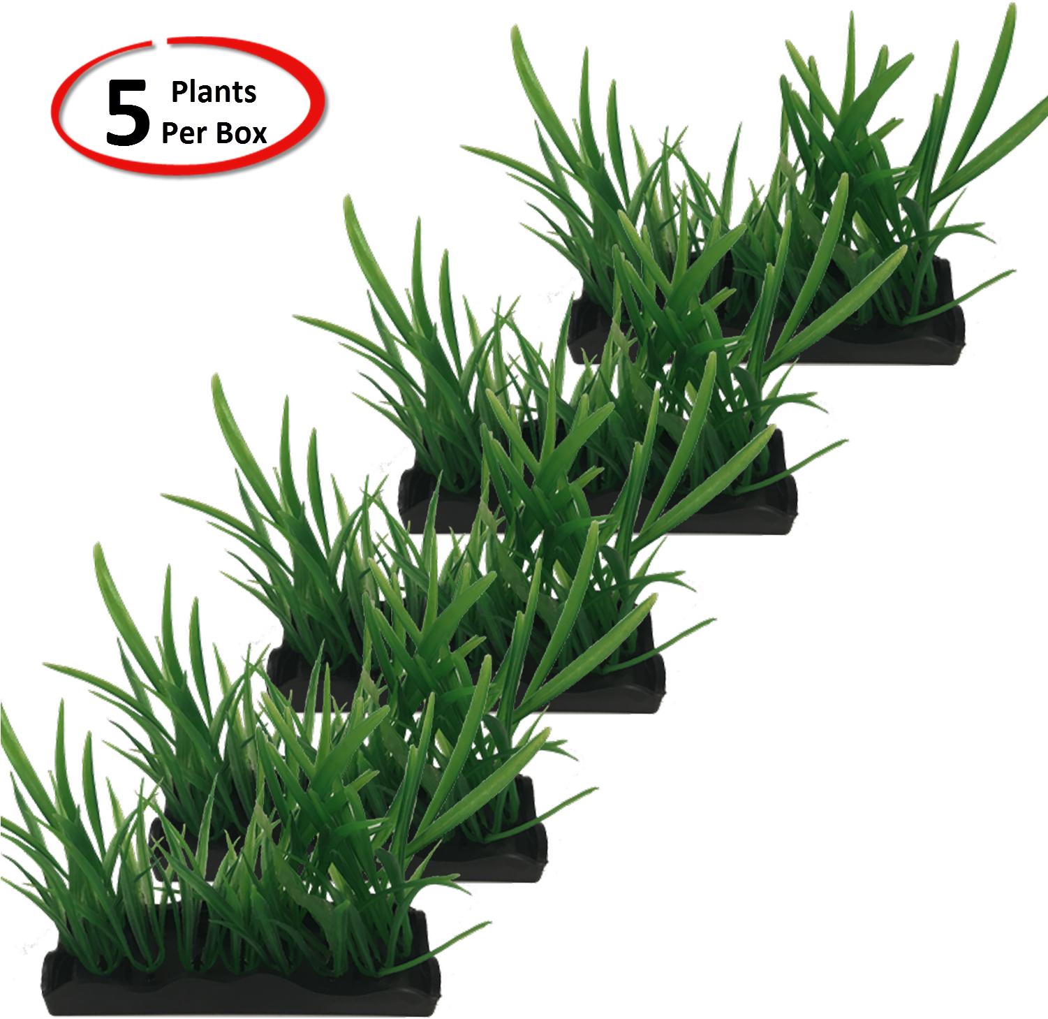 View Larger - Houseplant (1500x1500), Png Download