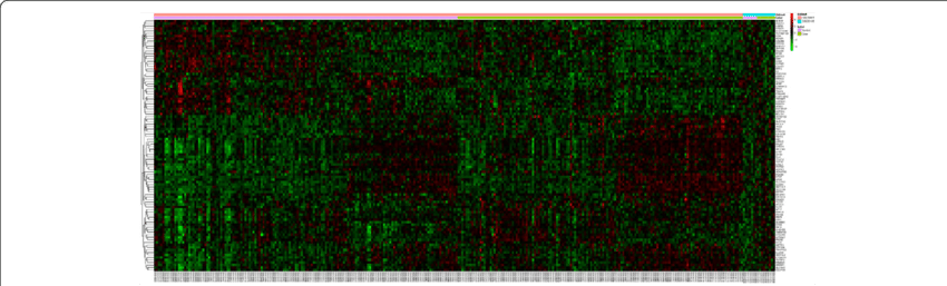 Heat Map Image Displaying Top 100 Genes That Were Significantly - Grass (850x257), Png Download