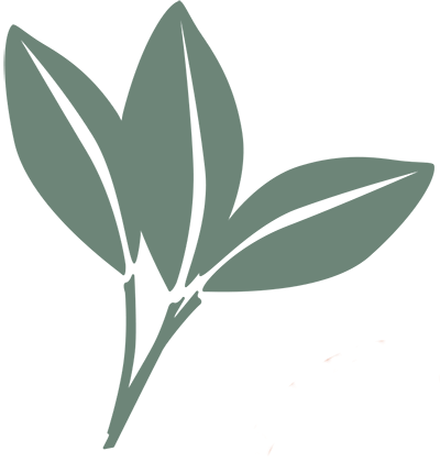 Wellness Center At Jasper Mountain, Emmaus, Pa - Wellness Center At Jasper Mountain (400x420), Png Download