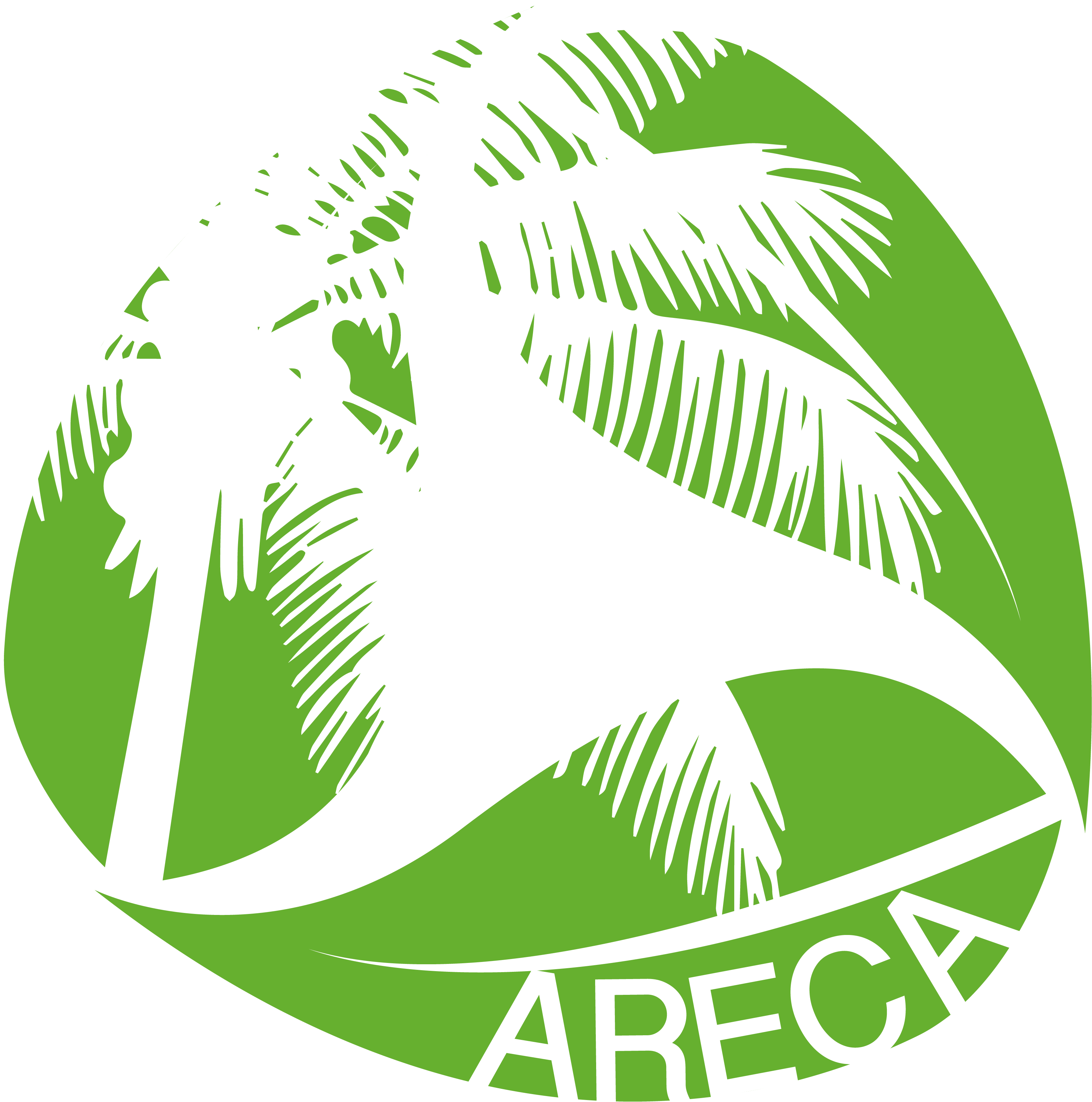 Palm Leaf Disposable Tableware - Areca Leaf Logo (3471x3655), Png Download