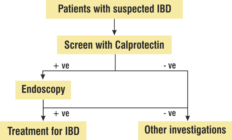 0 Replies 0 Retweets 0 Likes - David Kirsch - A.m. Daily Detox Grape - 30 Packets (781x472), Png Download