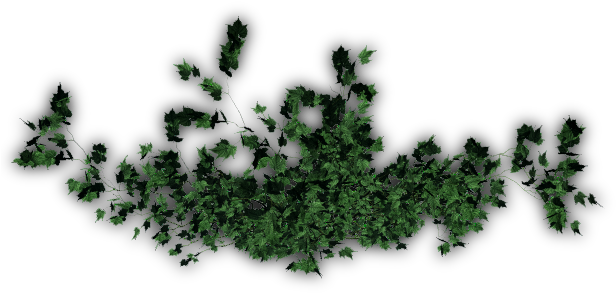 24 Mar 2009 - Jack Pine (621x307), Png Download