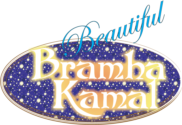 The Flower Of The Night Bramha Kamal In Marathi Also - Calligraphy (700x574), Png Download