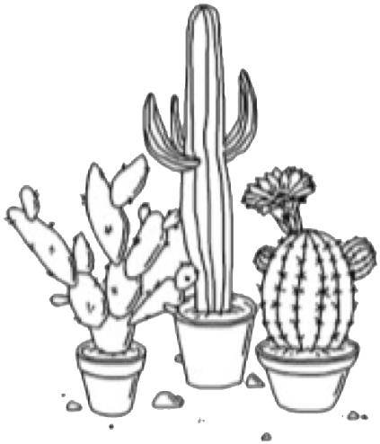 Cactus Tumblr Drawing Plants Edit Freetoedit - Cactus Drawings (1024x746), Png Download