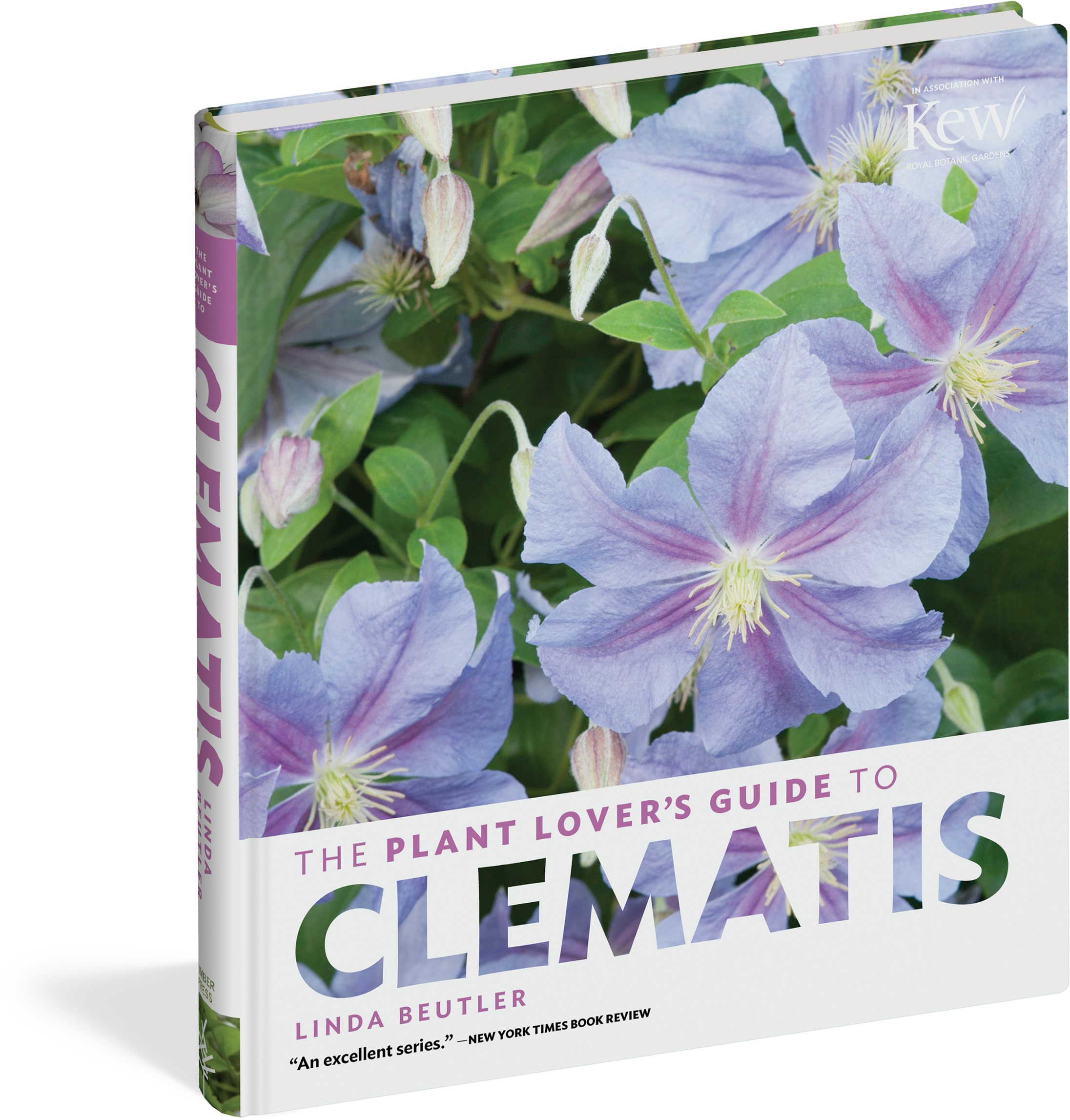 The Plant Lover's Guide To Clematis - Plant Lover's Guide To Clematis By Linda Beutler (2325x2400), Png Download