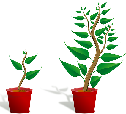 Growth Habits - Getting To Know Plants (424x385), Png Download