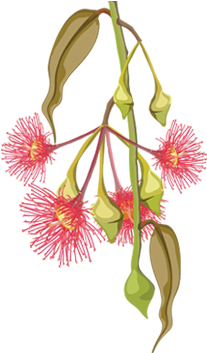 What We Do - Vector Graphics (384x385), Png Download