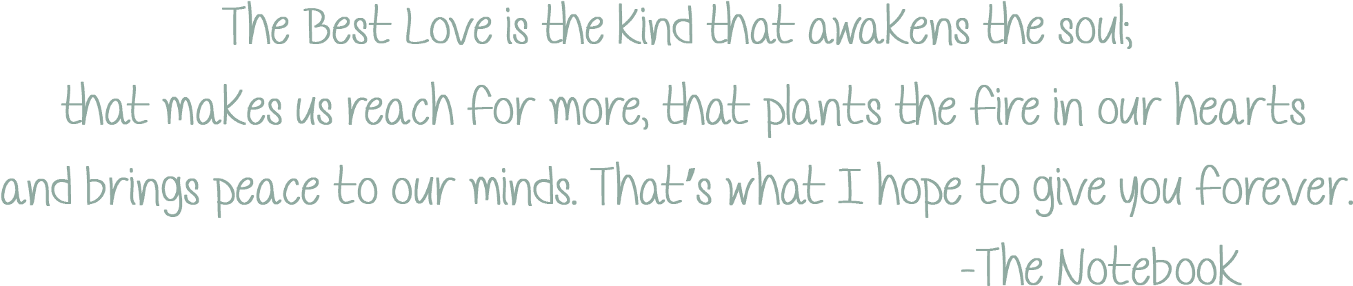 I Offer Complimentary Engagement Sessions With Every - Camera (2040x572), Png Download