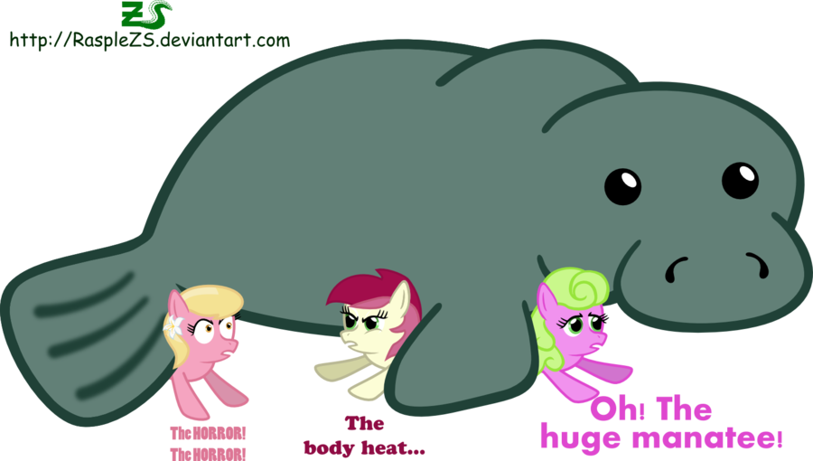 Manatee, Pony, Pun, Roseluck, Safe, Simple Background, - Daisy Rose And Lily Valley (900x510), Png Download