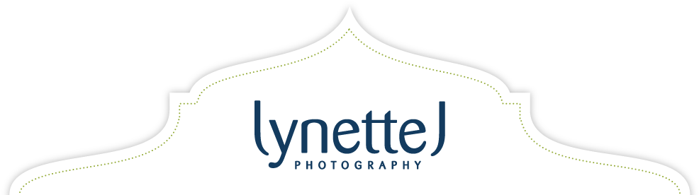 Dallas Wedding Photographer Lynette J - Indian Wedding (990x282), Png Download