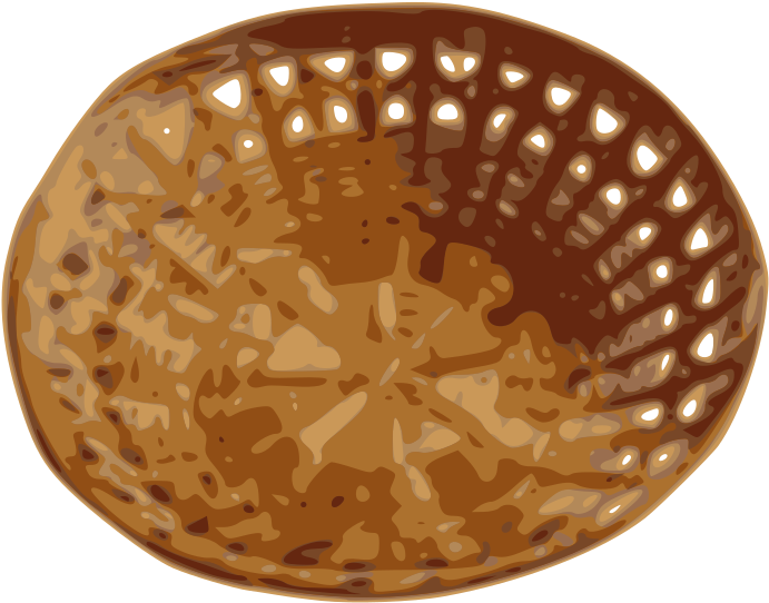 Fruit And Vegetables Basket Png - Bamboo Basket Clipart (800x800), Png Download