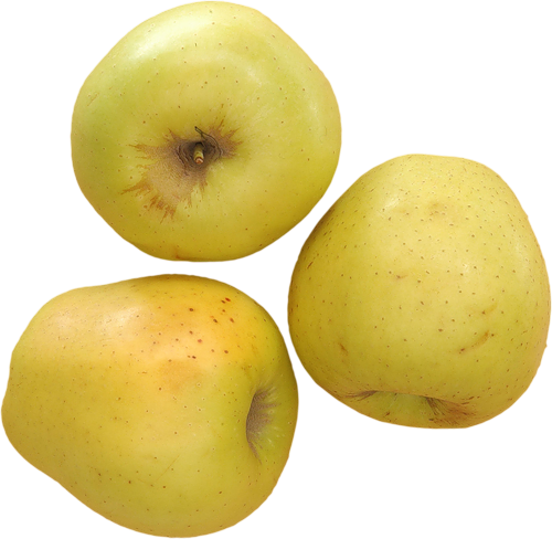 Fruits And Vegetables Images, Views Album, Clipart, - Apple (500x488), Png Download