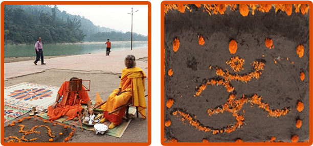 Kali Homa Rishikesh Preparations - Tree (650x300), Png Download