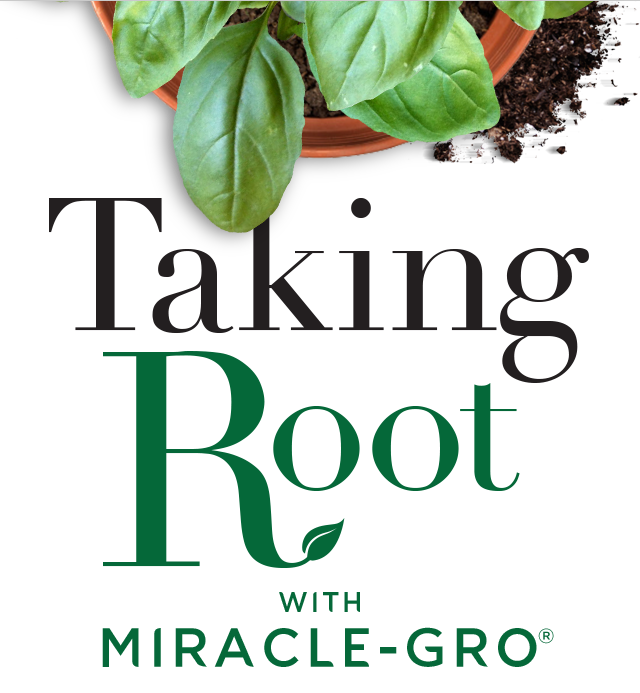 Comedy Theatre Of Budapest (640x693), Png Download