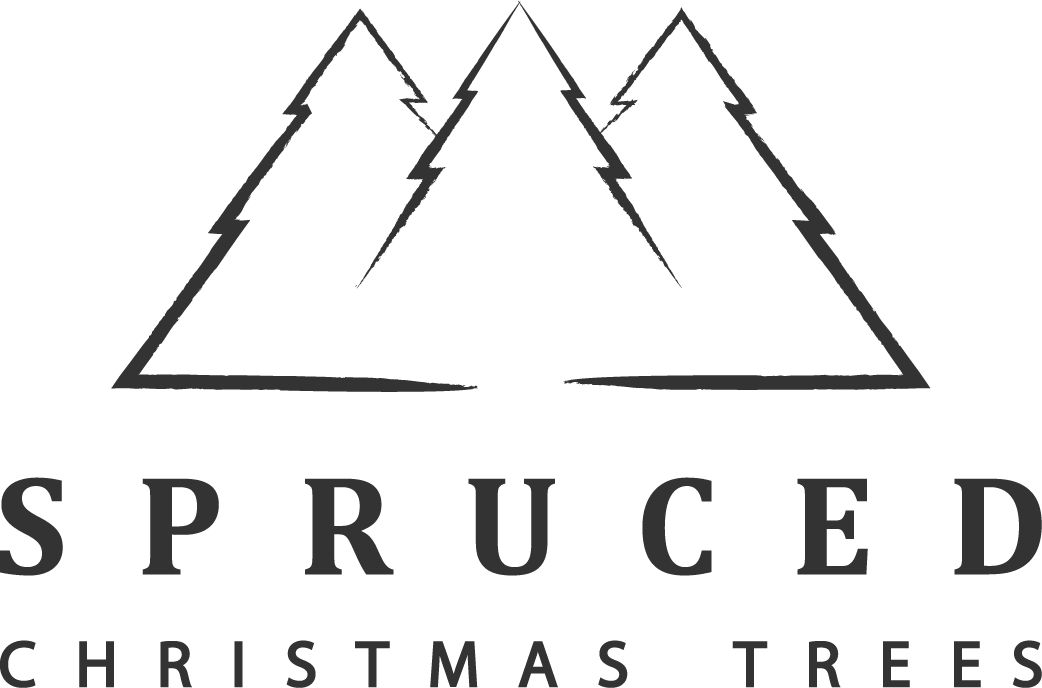 Spruced Innovation In Christmas Trees 2018 Offer - Christmas Tree (1042x688), Png Download