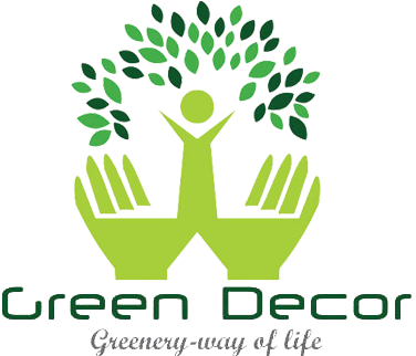 Buy Indoor Plants For Air Purification, Air Purifying - Plant (375x330), Png Download