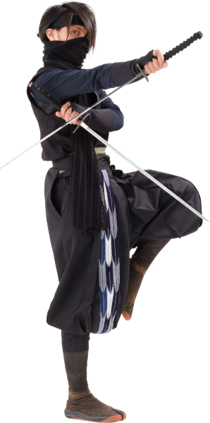 Hattori Hanzo Ninja - Purple (298x600), Png Download