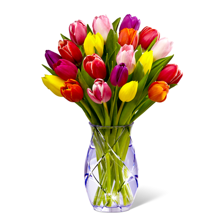 Tulips In Square Vase (442x442), Png Download