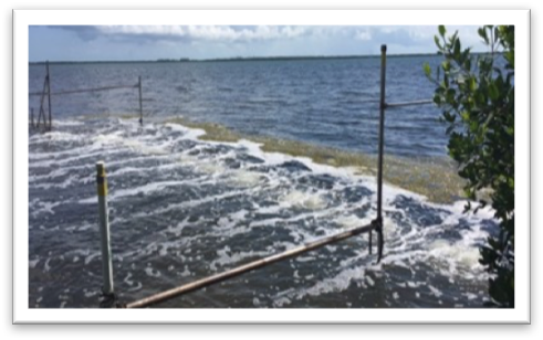 Next Water Quality Project For Keys - Sea (491x308), Png Download