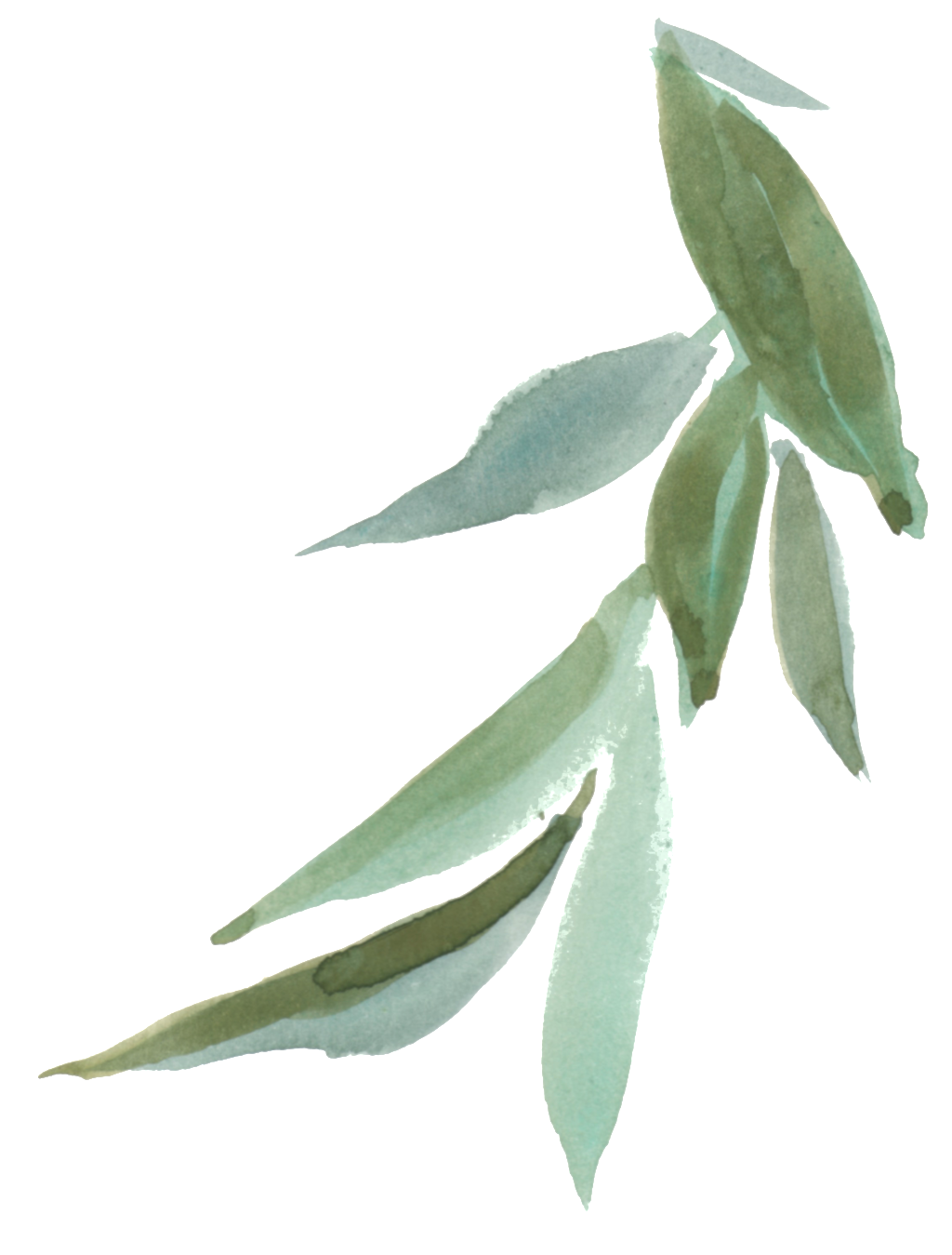 Hand Painted Green Leaves Falling Transparent Decorative - Transparent Background Painted Leaves Png (1024x1349), Png Download