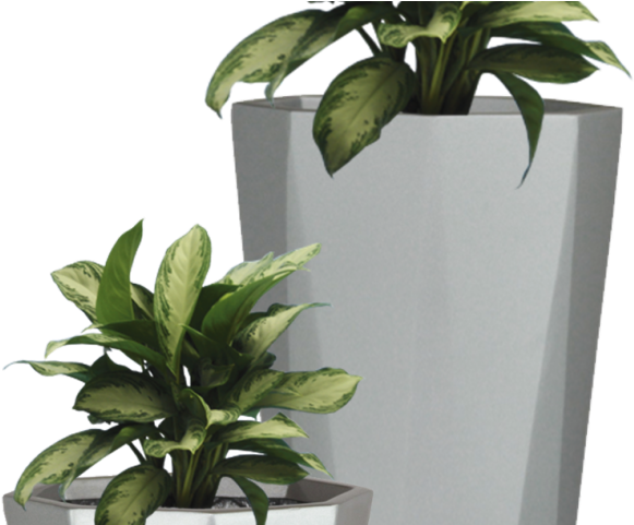 Potted Plants Clipart Transparent Background - Garden Pot Plants Png (640x480), Png Download