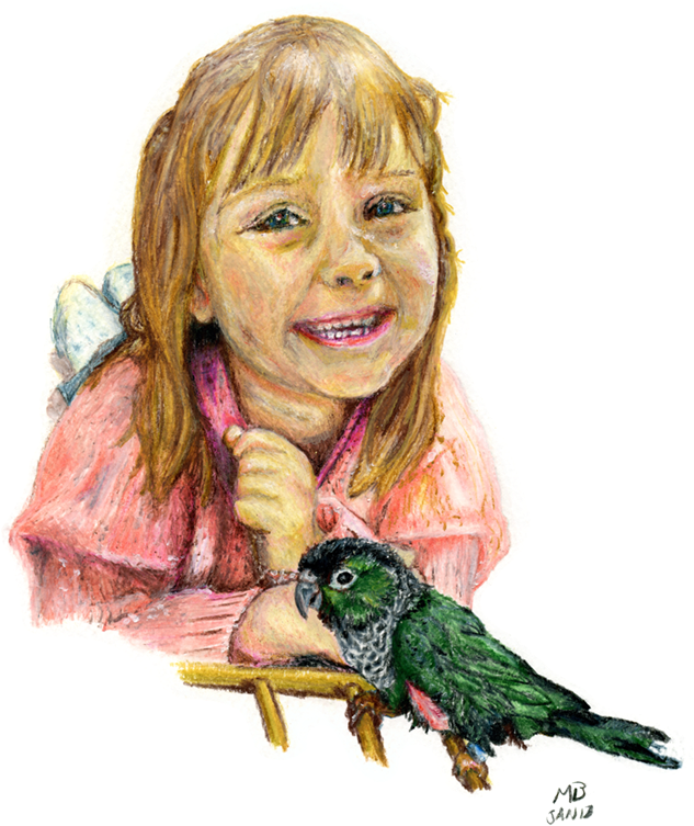 Abigail And Billy, Green Conure Parrot - Drawing (650x783), Png Download