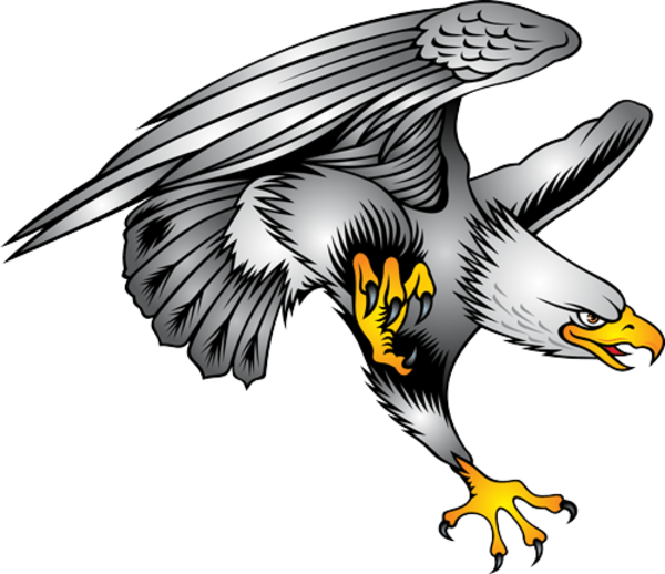 Free Eagle Vector Free Download Clip Art Free Clip - Aigle Blanc En Vol (600x518), Png Download