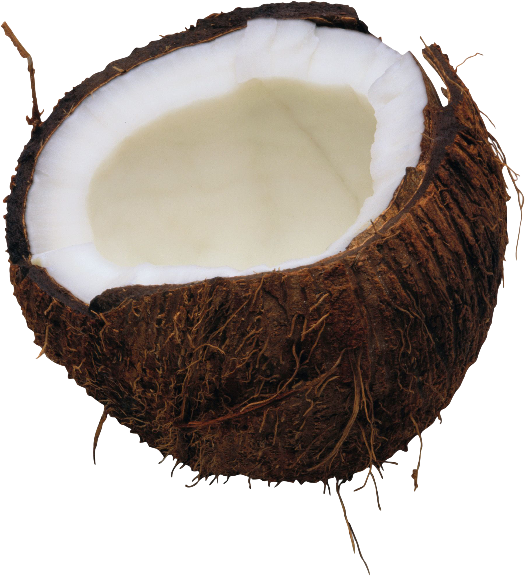 Coconut Png Image - Coconut Png For Photoshop (2167x2282), Png Download