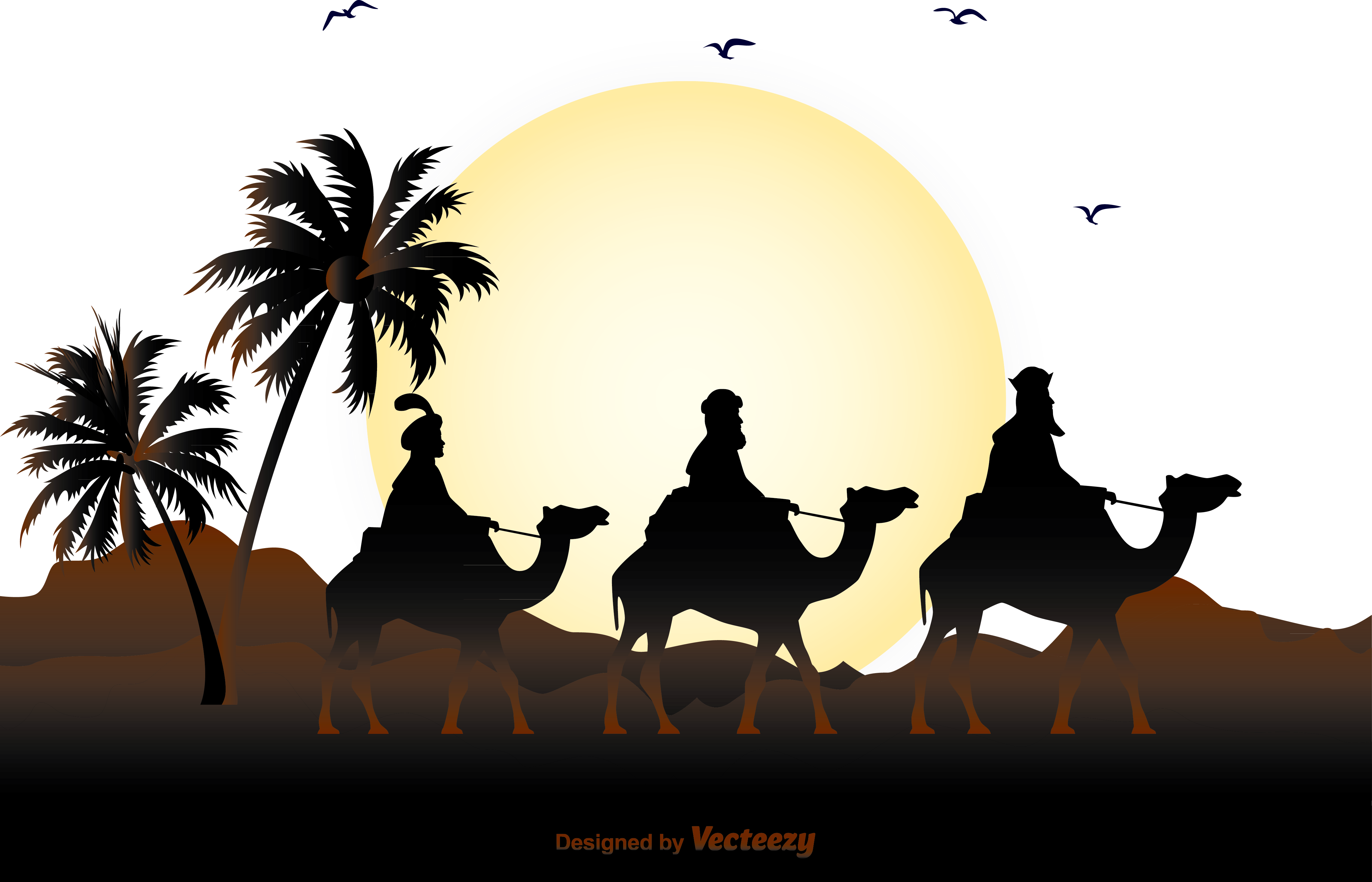 Graphic Transparent Calimero Television Film Wallpaper - Palm Tree With Coordinates (4567x2935), Png Download