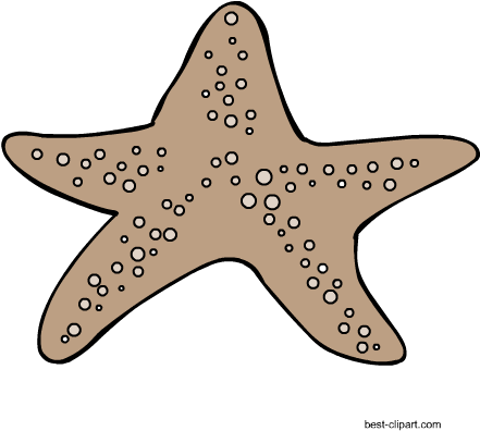 Startfish Free Clipart Graphic - Free Content (450x450), Png Download