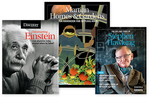 Check Out Our Free - Albert Einstein (504x332), Png Download