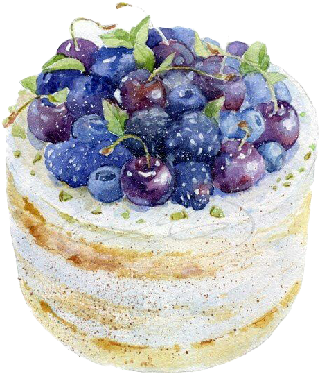 Png Cheesecake Drawing Blueberry - Olga Moskaleva (488x567), Png Download