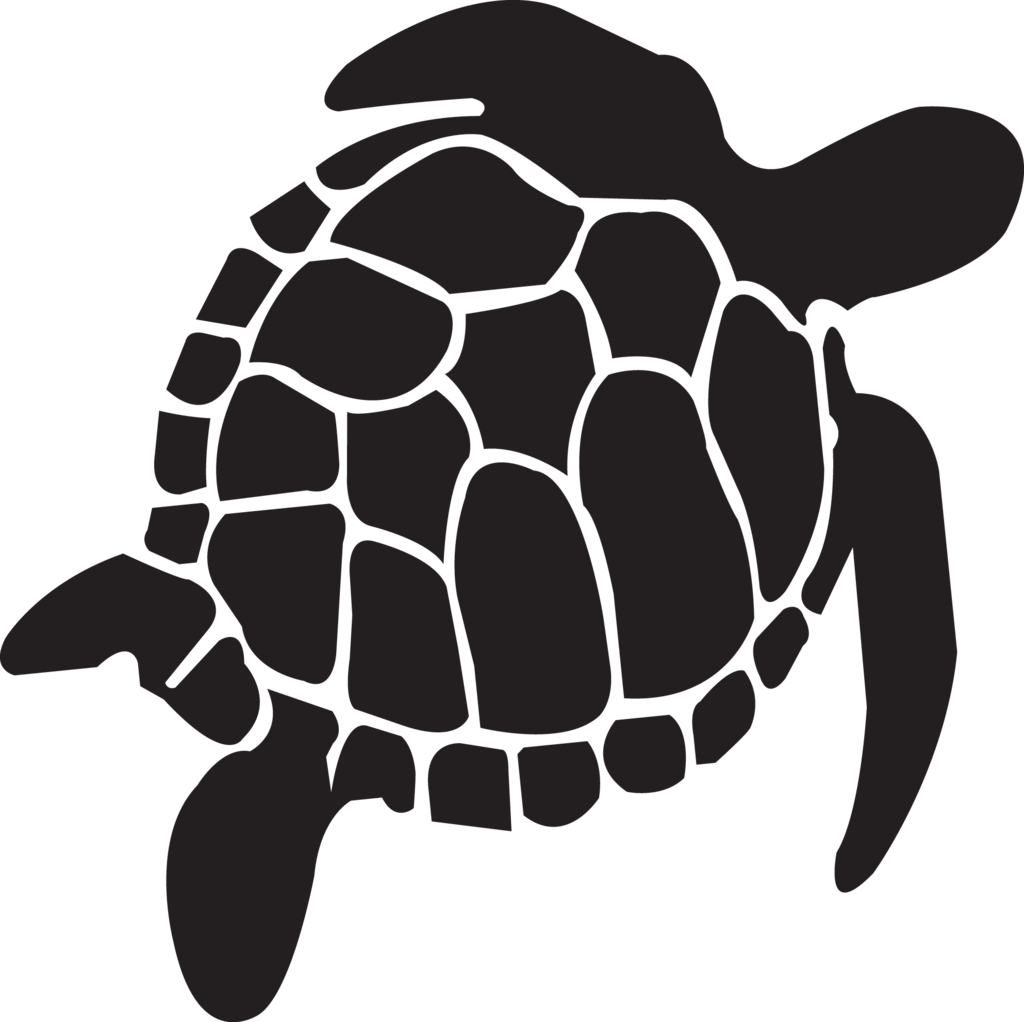 Black Sea Turtle Png (1024x1022), Png Download